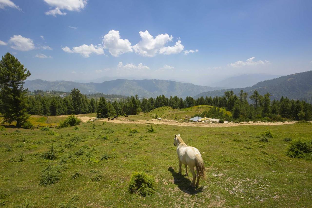 Zostel Homes Kotkhai Shimla Buitenkant foto