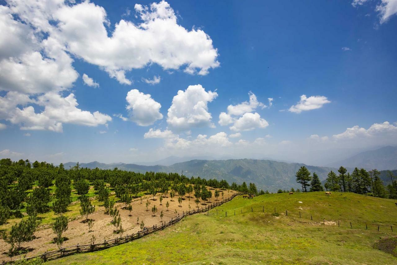 Zostel Homes Kotkhai Shimla Buitenkant foto