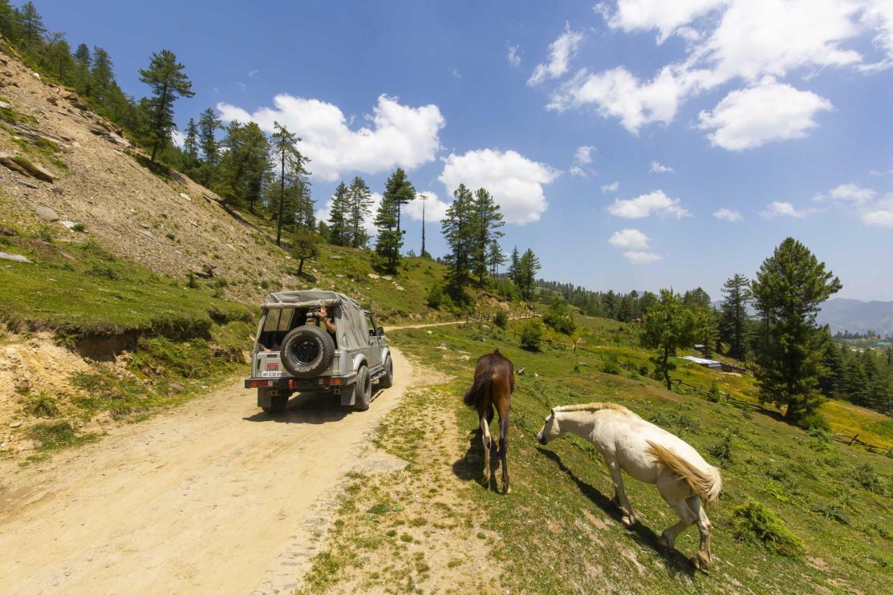 Zostel Homes Kotkhai Shimla Buitenkant foto